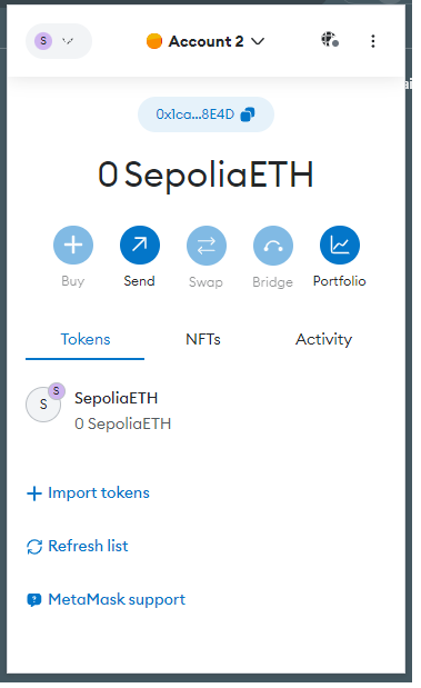 Metamask panel