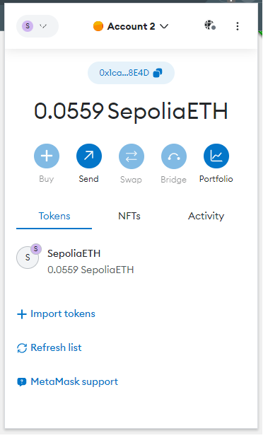 Metamask panel